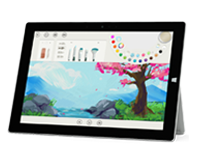 略阳Surface 无法开启、Windows 无法启动或电池无法充电